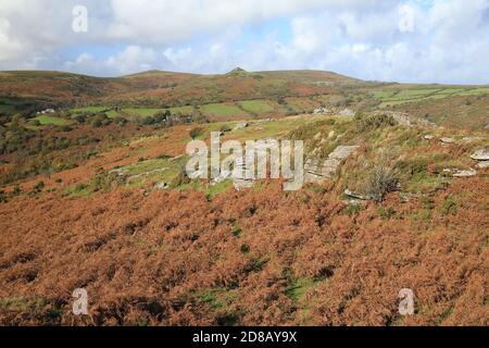 Vue d'automne depuis Bench tor vers Sharp tor, parc national de Dartmoor, Devon, Angleterre, Royaume-Uni Banque D'Images