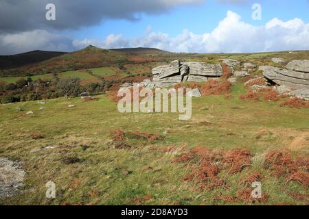 Vue d'automne depuis Bench tor vers Sharp tor, parc national de Dartmoor, Devon, Angleterre, Royaume-Uni Banque D'Images