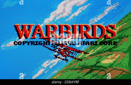 Warbirds - Atari Lynx Videogame - usage éditorial seulement Banque D'Images