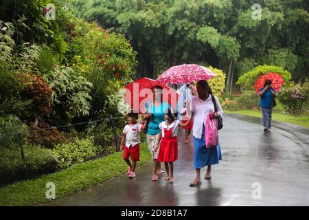 Kandy, Shri Lanka - 25 janvier 2013 : jardins botaniques royaux le jour des pluies. Des gens de différentes nationalités marchent et apprécient leurs vacances. Banque D'Images