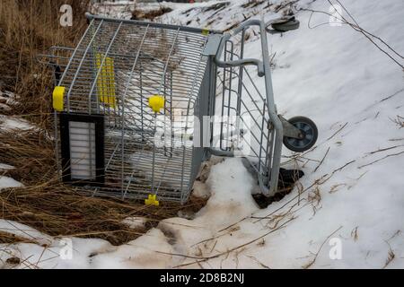 Un cary commercial allongé sur son côté dans un fossé un jour sombre. Le fossé a de la neige et de l'herbe morte. Espace pour le texte. Banque D'Images