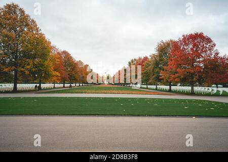 Cimetière militaire américain de Magraten, Limbourg pays-Bas, 22 octobre 2020 Banque D'Images