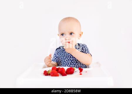 Bébé fille assis dans la chaise haute de l'enfant manger des fruits sur un fond blanc. Concept de nourriture pour bébé, espace pour le texte. Banque D'Images