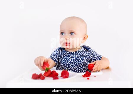 Bébé fille assis dans la chaise haute de l'enfant manger des fruits sur un fond blanc. Concept de nourriture pour bébé, espace pour le texte. Banque D'Images