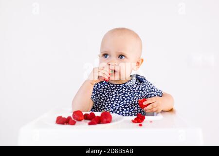 Bébé fille assis dans la chaise haute de l'enfant manger des fruits sur un fond blanc. Concept de nourriture pour bébé, espace pour le texte. Banque D'Images