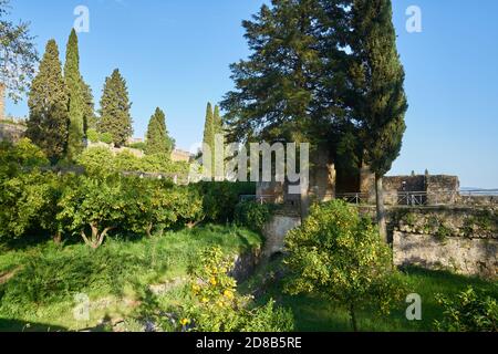 Jardin dans le couvent Convento de cristo christ à Tomar, Portugal Banque D'Images