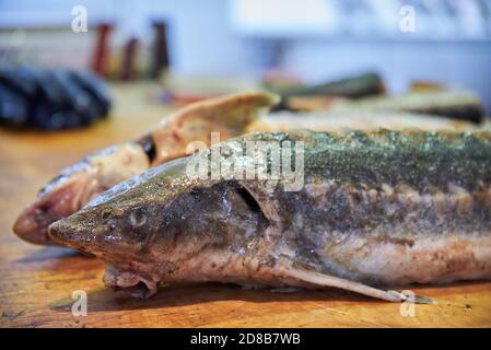 Deux esturgeons de grande taille sur la table du marché du poisson au Teze Bazar à Bakou, Azerbaïdjan, en 2020. Banque D'Images