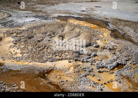 Textures et couleurs intéressantes d'Anemone Geyser, source d'eau chaude dans le bassin supérieur du Geyser, parc national de Yellowstone, Wyoming Banque D'Images