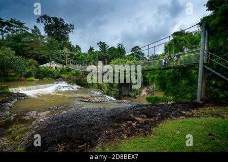 Passerelle suspendue au-dessus des chutes de Mena Creek, parc Paronella, près d'Innisfail, Queensland du Nord, Australie Banque D'Images