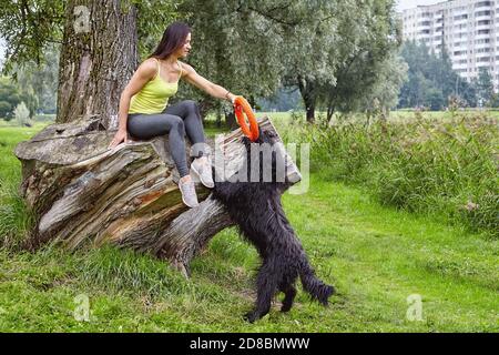 La femme propriétaire joue avec le briard noir dans le parc public le matin. Banque D'Images