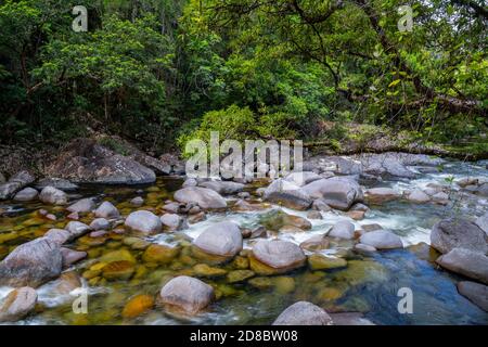 Ruisseau de montagnes aux eaux cristallines, Mossman gorge, nord du Queensland Banque D'Images