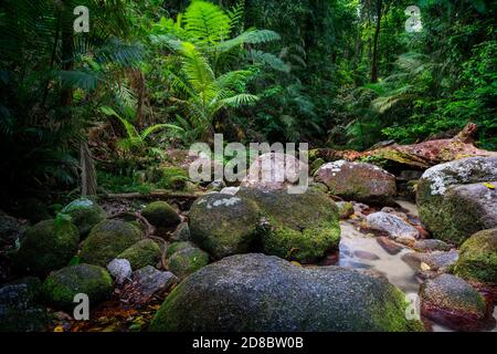 Ruisseau de montagnes aux eaux cristallines, Mossman gorge, nord du Queensland Banque D'Images