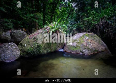 Ruisseau de montagnes aux eaux cristallines, Mossman gorge, nord du Queensland Banque D'Images