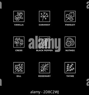 Ensemble vectoriel d'éléments de conception, modèle de conception de logo, icônes et badges pour les herbes et les épices. Jeu d'icônes de ligne, contour modifiable. Illustration de Vecteur