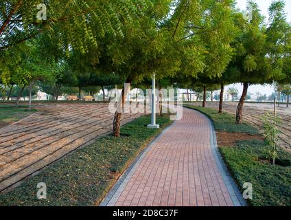 Allée dans le parc Al Warqa de Dubaï, Émirats Arabes Unis. À l'extérieur Banque D'Images