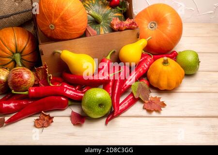 Arrangement d'automne avec des citrouilles dans la boîte rustique, des piments rouges chauds, des pommes vertes, des gourdes jaunes, des feuilles d'automne Banque D'Images