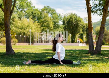 Yoga. Une jeune femme en vêtements de sport effectue un exercice d'étirement, sur un tapis, dans un parc sur l'herbe. Vue latérale. Le concept d'un mode de vie sain. Banque D'Images