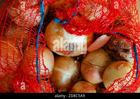 Gros plan sur les oignons crus dans un sac en maille. Récolte de légumes emballée dans des sacs en maille. Agronomie. Sans personnes. Banque D'Images