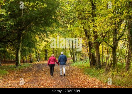Un couple à la retraite marchant le long d'une piste dans les couleurs de l'automne Banque D'Images