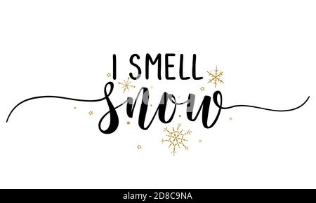 Vive La Neige Citation D Hiver D Inspiration En Brosse Fond Bleu Avec Des Flocons De Neige Cartes De Vœux De Noel Image Vectorielle Stock Alamy