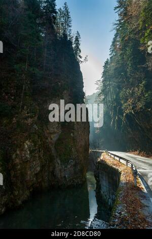 Gorge de Trigrad, nature attrayante, montagne de Rhodopi, Balkans, Bulgarie Banque D'Images