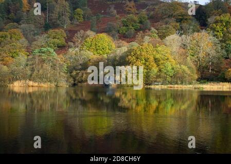 Couleurs d'automne, Rydal Water, Ambleside, Cumbria dans le Lake District. Banque D'Images