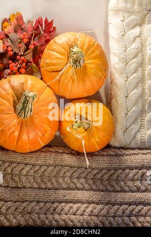 Plusieurs citrouilles se trouvent sur la table, parmi les feuilles d'automne et les sweaters tricotés confortables. L'automne encore la vie. Arrière-plan sombre. Espace pour le texte. La vue depuis l' Banque D'Images