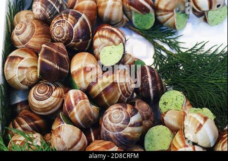 Helix pomatia escargot romain, RECETTE BEURRE À L'AIL Banque D'Images