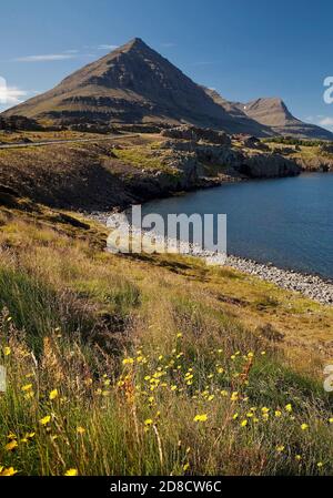 fjord Berufjordur et Godaborg montagne, Islande, Teigarhorn Banque D'Images