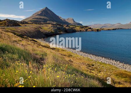 fjord Berufjordur et Godaborg montagne, Islande, Teigarhorn Banque D'Images