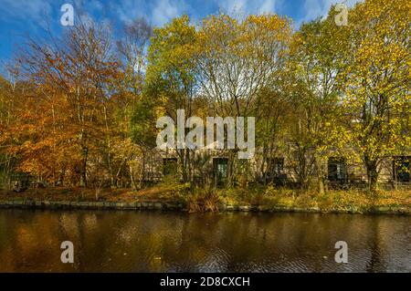 Hangars de tissage convertis en appartements et couleurs d'automne sur Huddersfield Narrow Canal Uppermill à Dobcross section, Saddleworth, Oldham, Angleterre, Royaume-Uni Banque D'Images