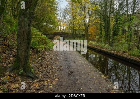 Couleurs d'automne et pont sur le canal étroit de Huddersfield Uppermill à Dobcross section, Saddleworth, Oldham, Angleterre, Royaume-Uni Banque D'Images