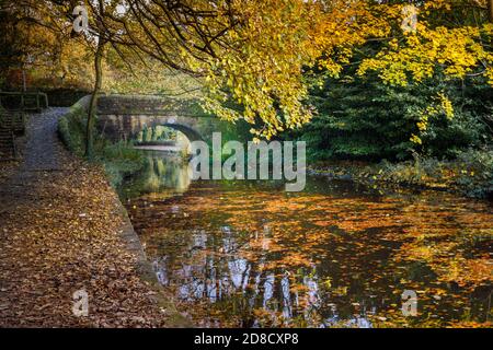 Couleurs d'automne et pont sur le canal étroit de Huddersfield Uppermill à Dobcross section, Saddleworth, Oldham, Angleterre, Royaume-Uni Banque D'Images