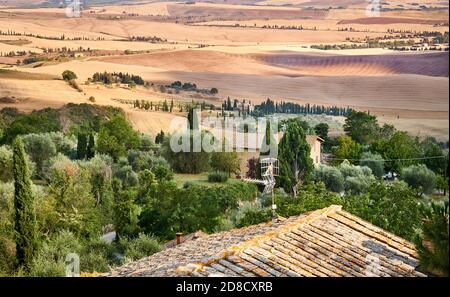 Vue sur la Toscane (Toscana) à la vallée toscane Val d'Orcia au coucher du soleil avec quelques cyprès. Banque D'Images