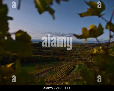 Belle vue sur les vignes en terrasse colorées de la chaîne de montagnes basse Kaiserstuhl, Allemagne en automne avec montagnes des Vosges en arrière-plan. Banque D'Images