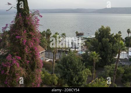 Tiberias, طبريا, Tyberiada, טבריה, Israël, Izrael, ישראל; matin sur la mer de Galilée. Morgen auf dem Voir Genezareth. בוקר על הכנרת Banque D'Images