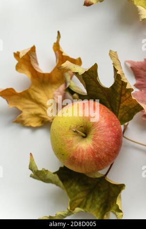 Pommes et feuilles sèches dans un scénario d'automne Banque D'Images