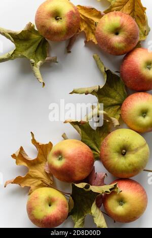 Pommes et feuilles sèches dans un scénario d'automne Banque D'Images