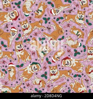 Motif sans couture multidirection shiba inu de Noël rose vectoriel avec chapeaux de père noël, houx et cannes de bonbons. Parfait pour le tissu, le scrapbooking et Illustration de Vecteur