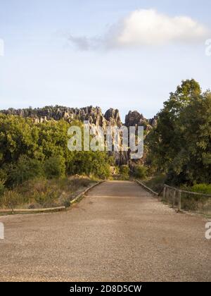 Gros plan d'une route et d'un paysage à Cerro del Hierro, Séville, Espagne Banque D'Images