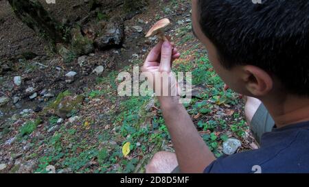 Jeune homme tenant des champignons sauvages de la forêt dans sa main Banque D'Images