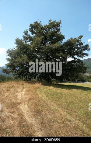 Montelungo (Mme),Toscane,Italie,Passo della CISA, vue des remplissages Banque D'Images