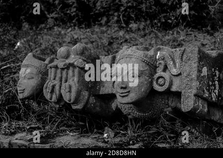 Ruines de Deopahar, le site archéologique de Deopahar est situé à Numaligarh, district de Golaghhat, Assam Banque D'Images