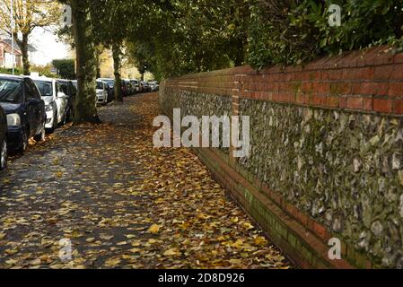 trottoir recouvert de feuilles Banque D'Images