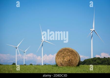 Une éolienne dans un champ de ferme de l'île Amherst, près de Stella (Ontario), le lundi 3 août 2020. Banque D'Images