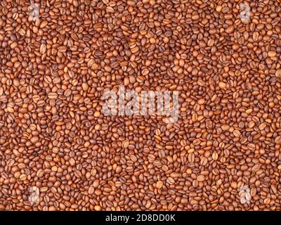 Beaucoup de grains de café torréfiés fond, papier peint Banque D'Images
