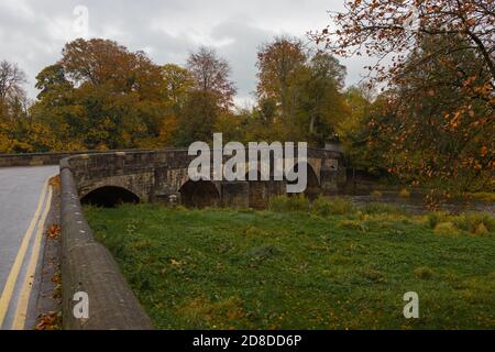 Couleurs dorées chaudes en automne sur la rive du ribble à Clitheroe. Pont d'Edisford et feuilles d'automne colorées en automne Banque D'Images