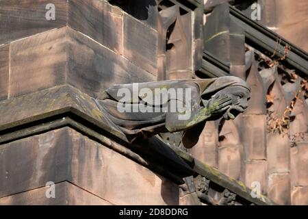 Un gargouille à l'extérieur de la cathédrale de Chester, Cheshire, Royaume-Uni. Banque D'Images