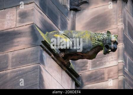 Un gargouille à l'extérieur de la cathédrale de Chester, Cheshire, Royaume-Uni. Banque D'Images