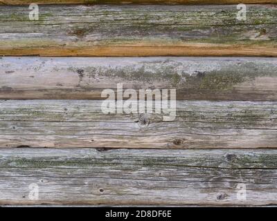 Ancien mur de cabine en bois rond, bois gris avec mousse et moisissure Banque D'Images